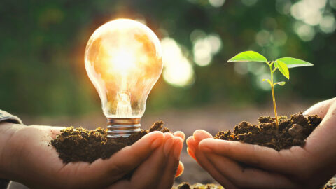 Symbolic picture for the article. The link opens the image in a large view.