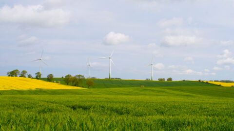 Symbolic picture for the article. The link opens the image in a large view.