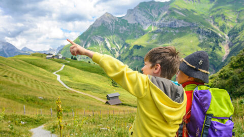 Symbolic picture for the article. The link opens the image in a large view.