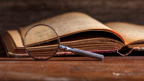 Symbolic picture for the article. The link opens the image in a large view.