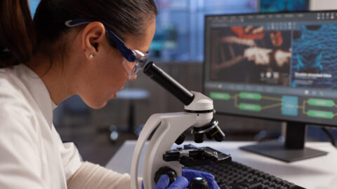 Symbolic picture for the article. The link opens the image in a large view.