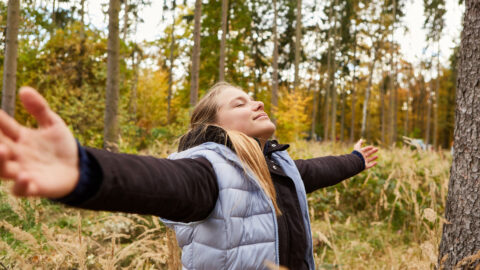 Symbolic picture for the article. The link opens the image in a large view.