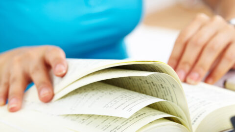 Symbolic picture for the article. The link opens the image in a large view.