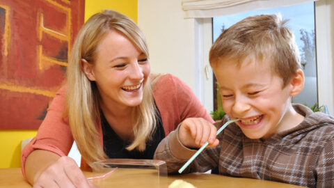 Symbolic picture for the article. The link opens the image in a large view.