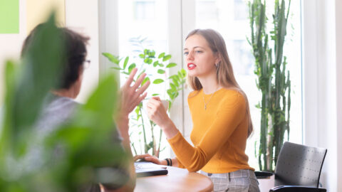 Symbolic picture for the article. The link opens the image in a large view.