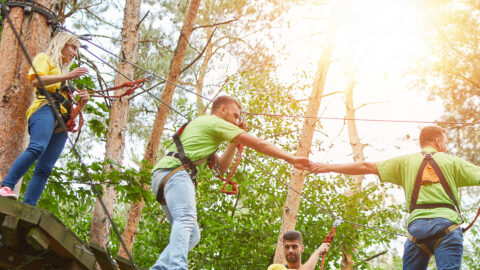 Symbolic picture for the article. The link opens the image in a large view.