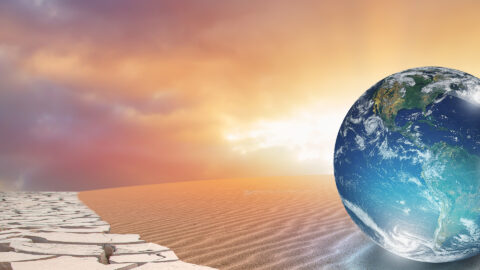 Symbolic picture for the article. The link opens the image in a large view.